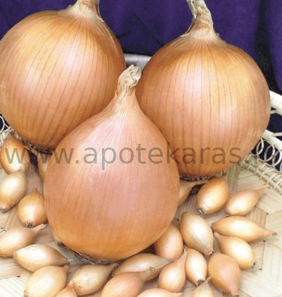 63836_1 ARPADZIK STURON 8-21 1/1
