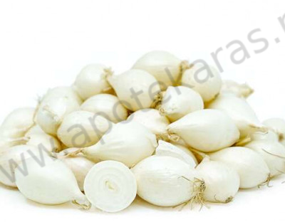 Luk Arpadžik Srebrenjak