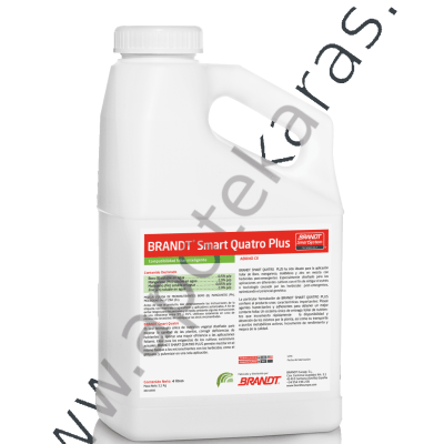 SMART QUATRO PLUS 5/1