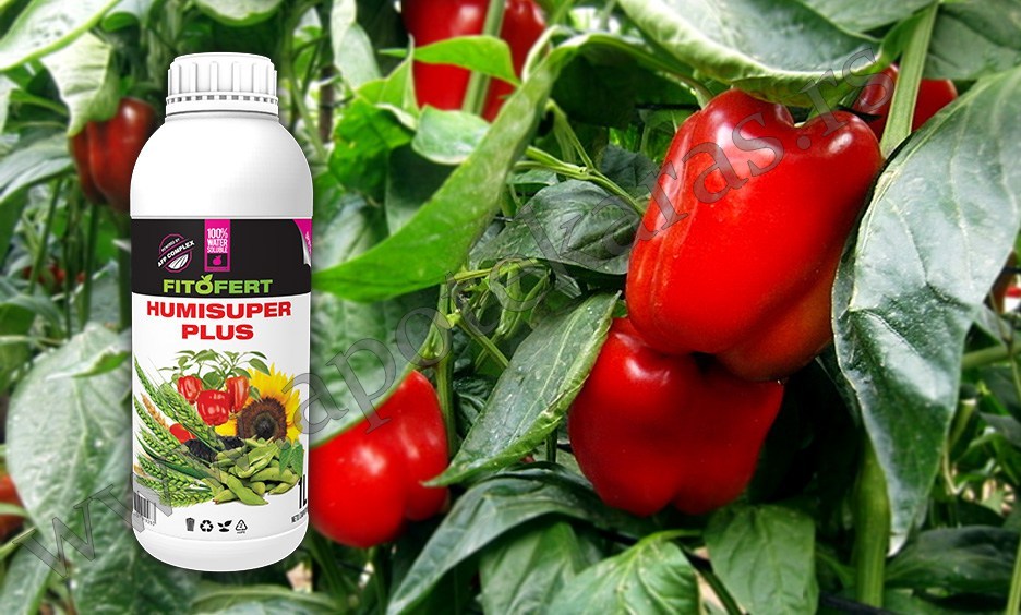 FITOFERT-HUMISUPER-1-1-PLUS-10-5-10-1 Fitofert HUMISUPER PLUS 10-5-10 1/1