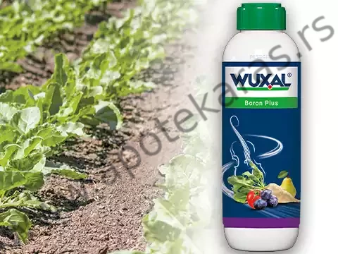 Wuxal-Boron-plus_1024x1024@2x Wuxal B plus 250ml