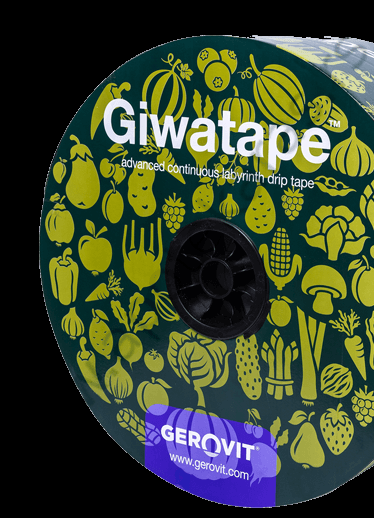 61677_1 GIWATAPE 15/3000 4L/M 16MM 150MIC
